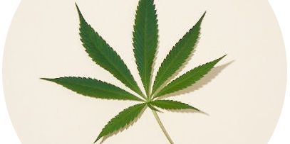 Hemp leaf