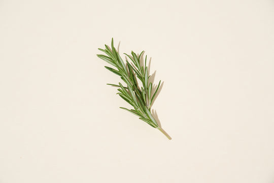 A sprig of rosemary on a neutral background.