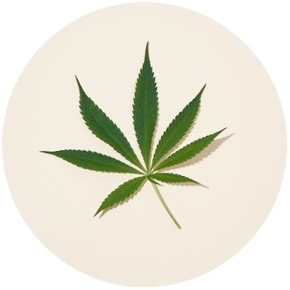 Hemp leaf